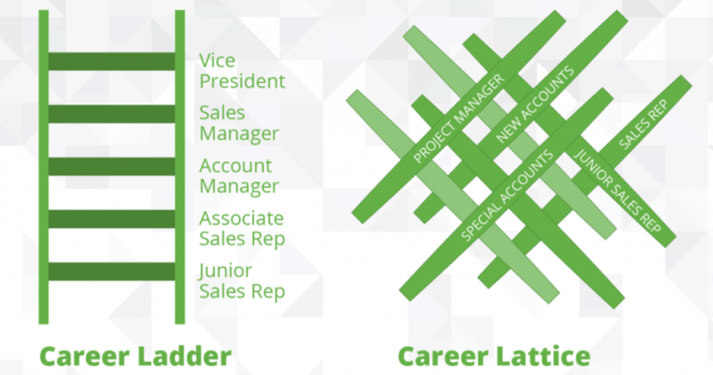 Career ladder vs career lattice